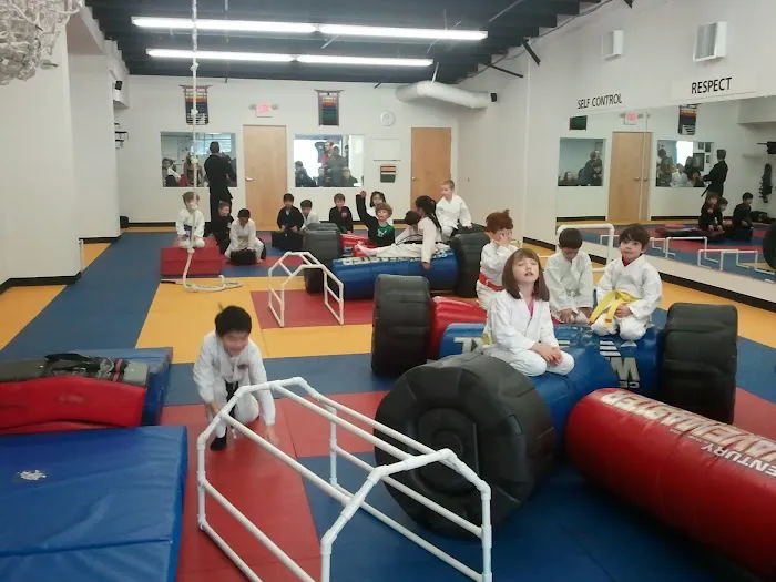 Metrowest Martial Arts and Wellness Center Picture 5