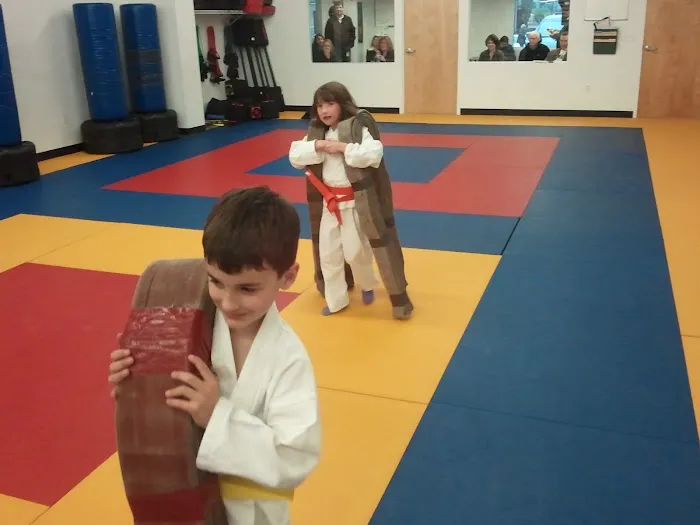 Metrowest Martial Arts and Wellness Center Picture 10