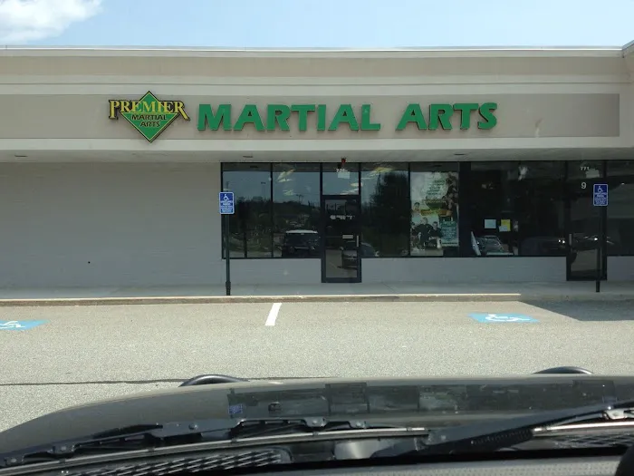 Premier Martial Arts Picture 3