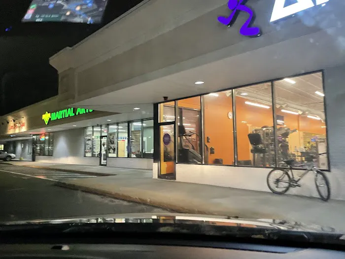 Premier Martial Arts Picture 4