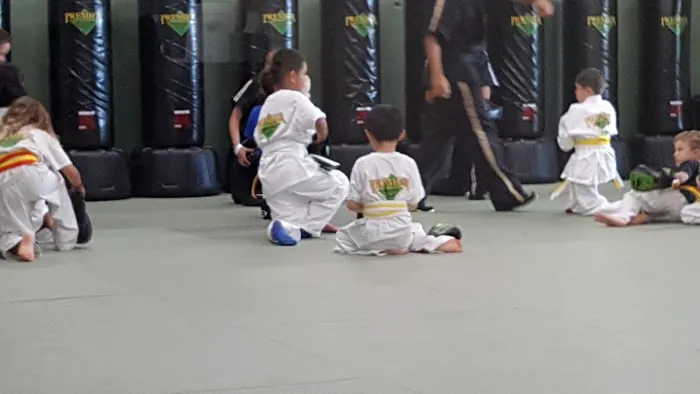 Premier Martial Arts Picture 7