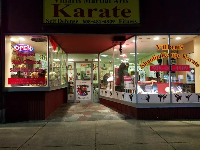 Villari's Martial Arts and Wellness Picture 2