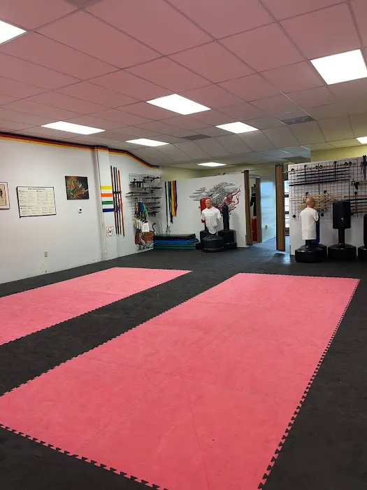 Villari's Martial Arts and Wellness Picture 7