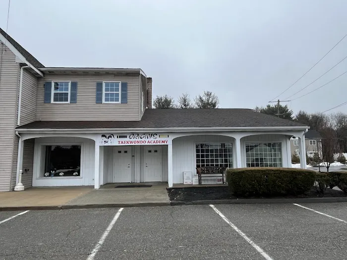 Origins Taekwondo Academy Picture 2