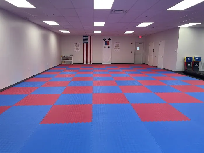 Origins Taekwondo Academy Picture 4