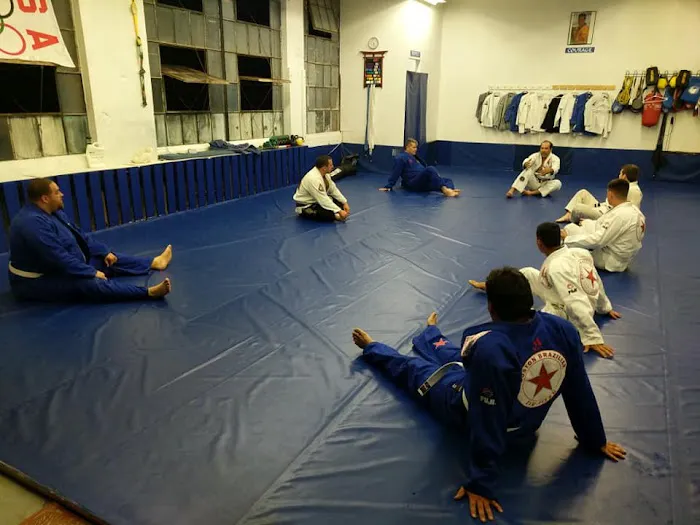 Boston Brazilian Jiu Jitsu Framingham Picture 3