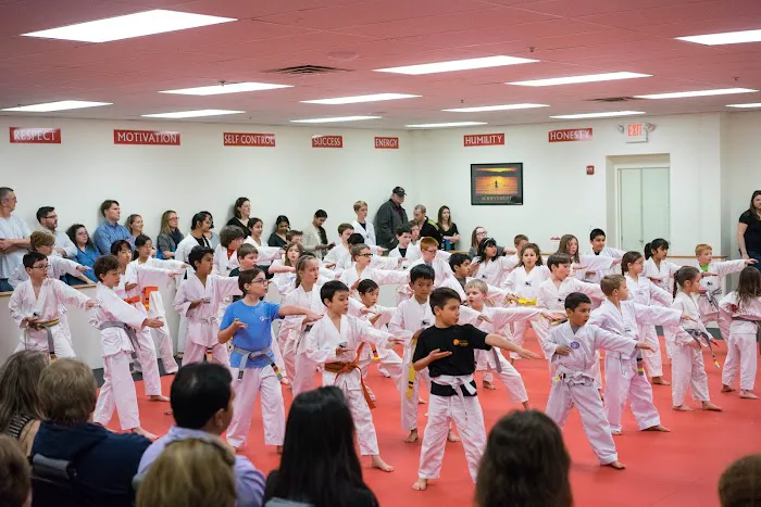 Achieve Taekwondo - Westford Picture 4