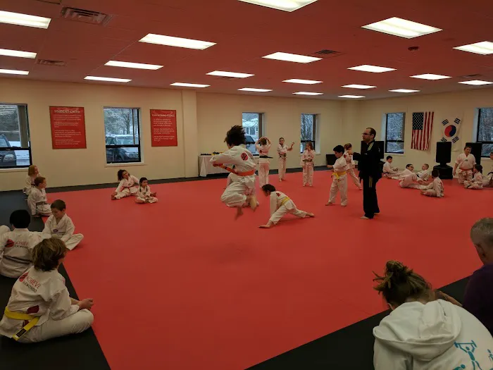 Achieve Taekwondo - Westford Picture 6