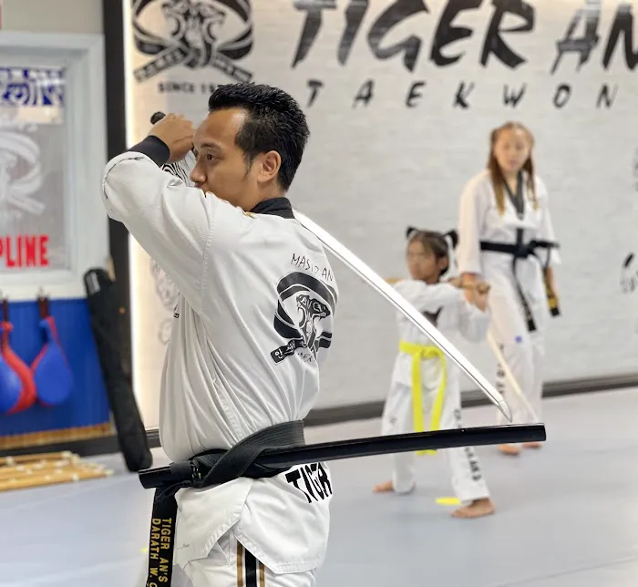 Tiger An's Taekwondo Picture 2