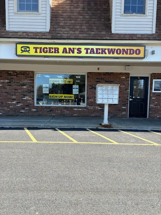 Tiger An's Taekwondo Picture 3