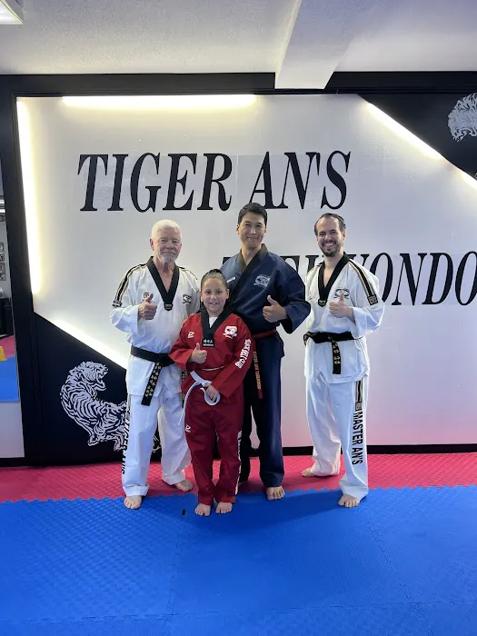 Tiger An's Taekwondo Picture 8