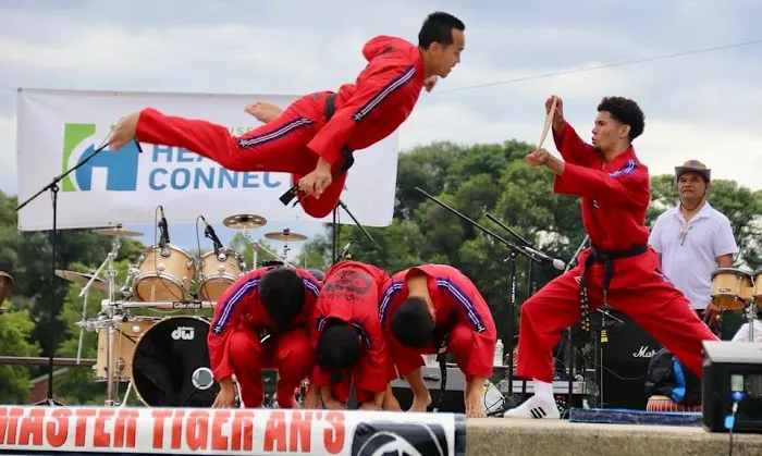 Tiger An's Taekwondo Picture 9