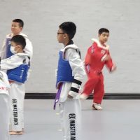 Tiger An’s Taekwondo Headquarters ico