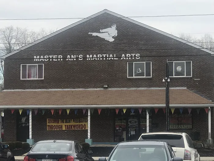 Tiger An’s Taekwondo Headquarters Picture 5