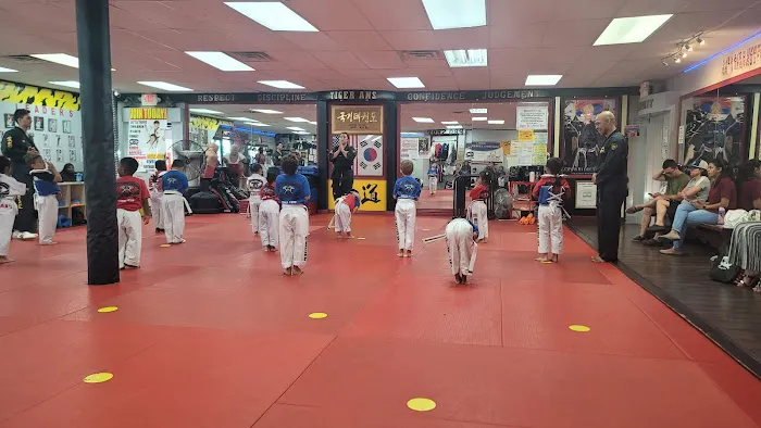 Tiger An’s Taekwondo Headquarters Picture 6