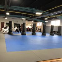 REAL Martial arts ico