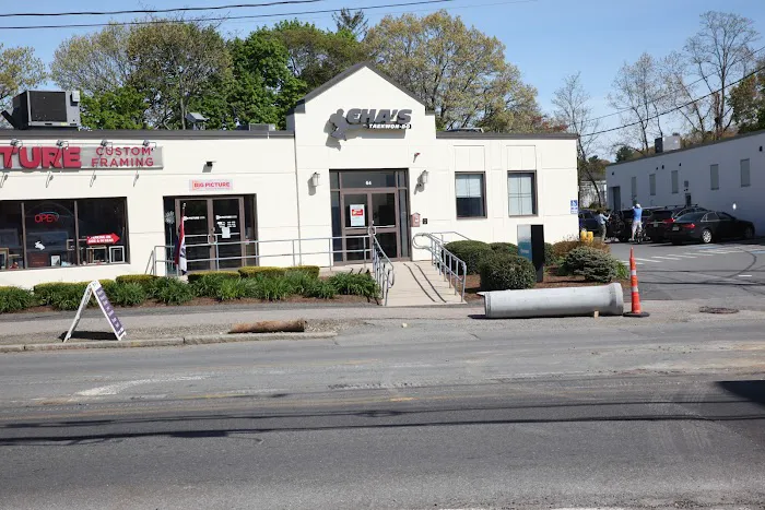 Cha's Taekwon-do Picture 3