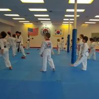 U.S. TAEKWONDO CENTER ico