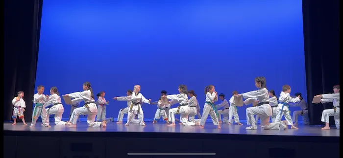 JS US Taekwondo Picture 3