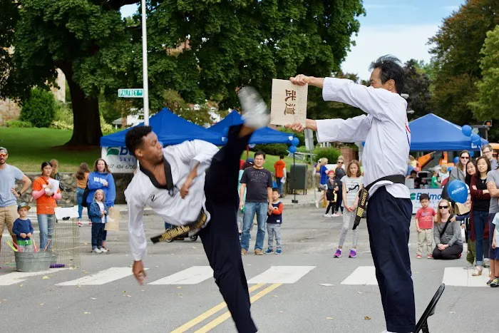 JS US Taekwondo Picture 5