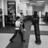 SDSS Martial Arts of Newton ico