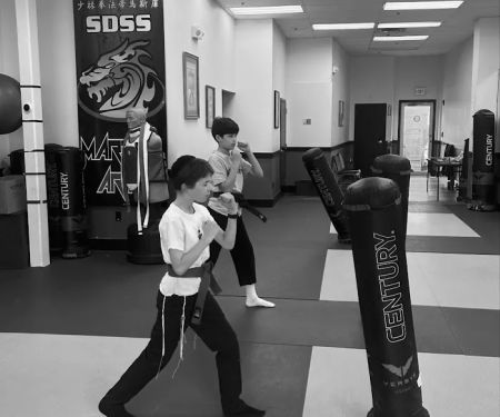 SDSS Martial Arts of Newton