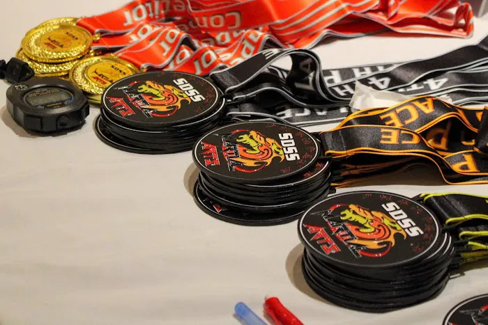 SDSS Martial Arts of Newton Picture 5