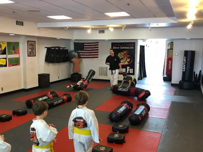 SDSS Martial Arts of Newton Picture 4