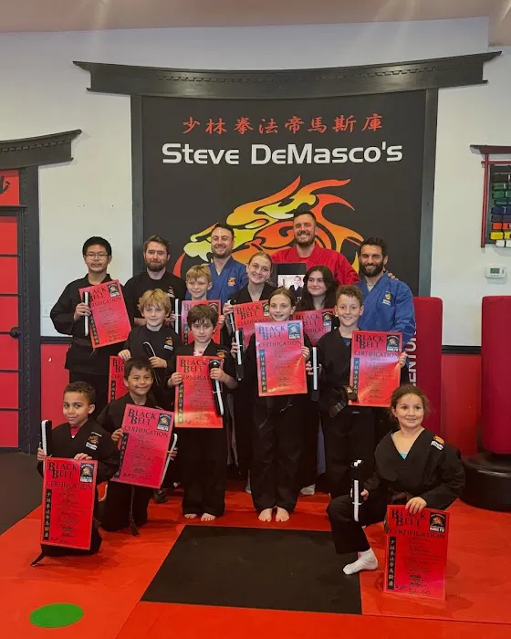 SDSS Martial Arts of Newton Picture 8