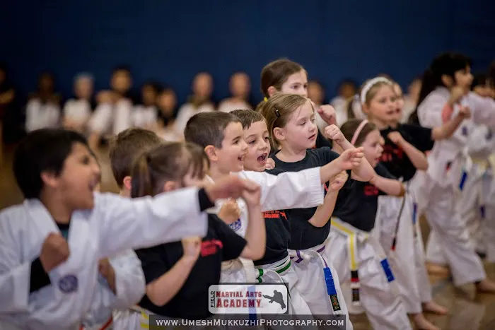 Field Martial Arts Academy Picture 10