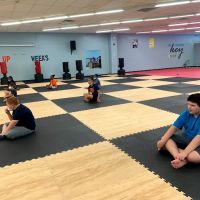 MASTER LEE'S U.S.TAEKWONDO ACADEMY ico