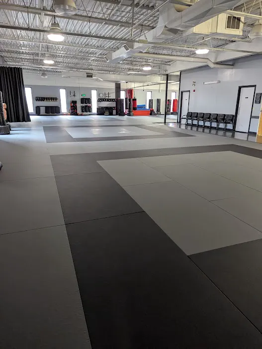 Don Rodrigues Karate Academy & CBR Kickboxing Picture 2