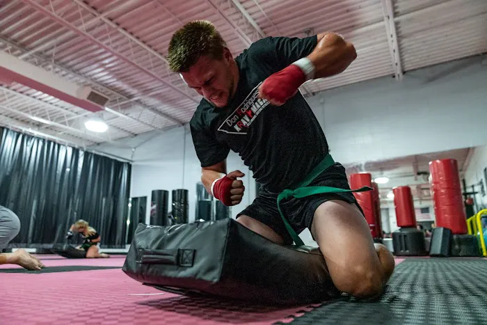 Don Rodrigues Karate Academy & CBR Kickboxing Picture 3