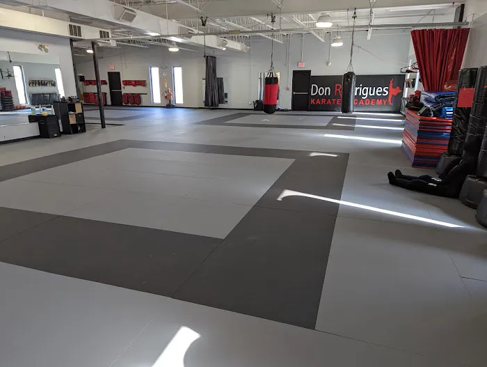 Don Rodrigues Karate Academy & CBR Kickboxing Picture 9