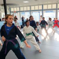 Ultimate Defense Bristol ico