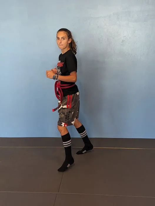 Ultimate Defense Bristol Picture 2