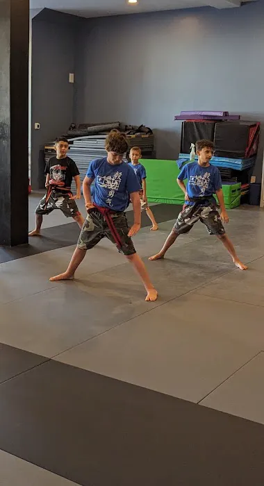 Ultimate Defense Bristol Picture 8