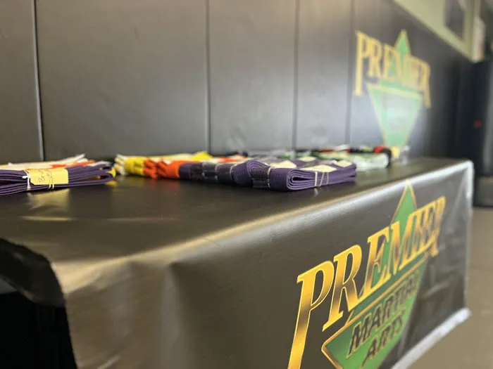 Premier Martial Arts Scituate Picture 1