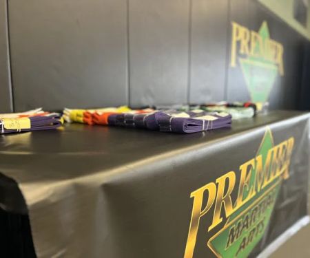 Premier Martial Arts Scituate