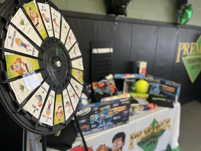 Premier Martial Arts Scituate Picture 4