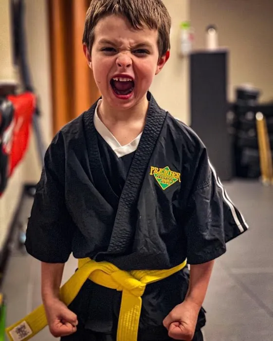 Premier Martial Arts Scituate Picture 8