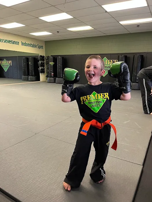 Premier Martial Arts Scituate Picture 5