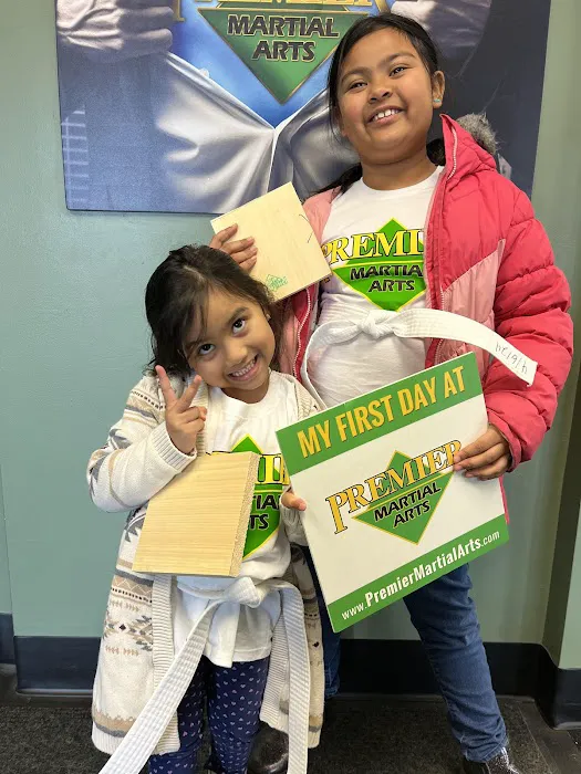 Premier Martial Arts Scituate Picture 10