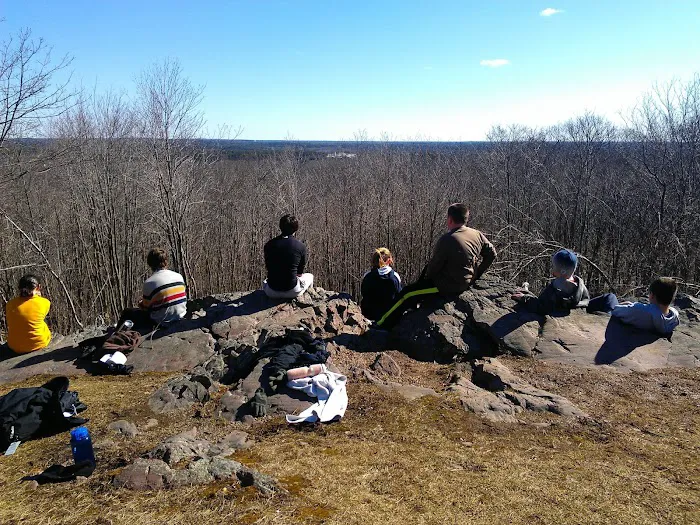 The Martial Arts Connection Picture 7