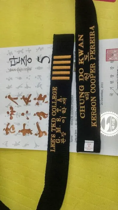 Lee's Taekwondo College Picture 3