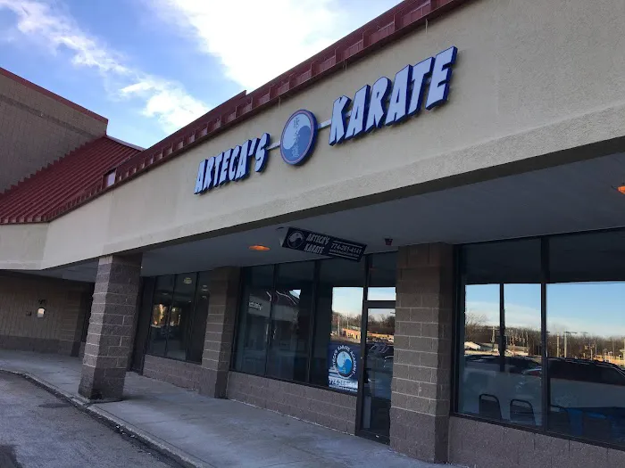 Arteca's Karate Picture 3