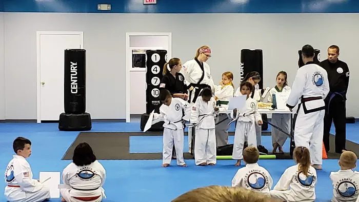 Arteca's Karate Picture 4