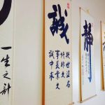 Seishin Martial Arts / Sport Karate Academy