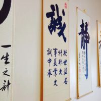 Seishin Martial Arts / Sport Karate Academy ico
