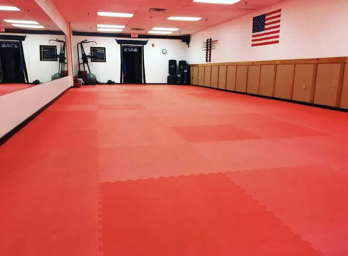 Seishin Martial Arts / Sport Karate Academy Picture 2